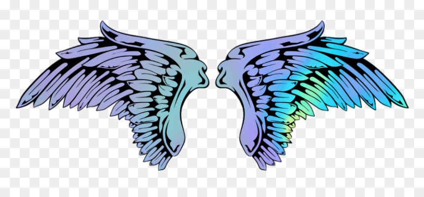 #angel #angels #wings #wing #angelwings - Anatomical Heart, HD Png Download - angels wings png