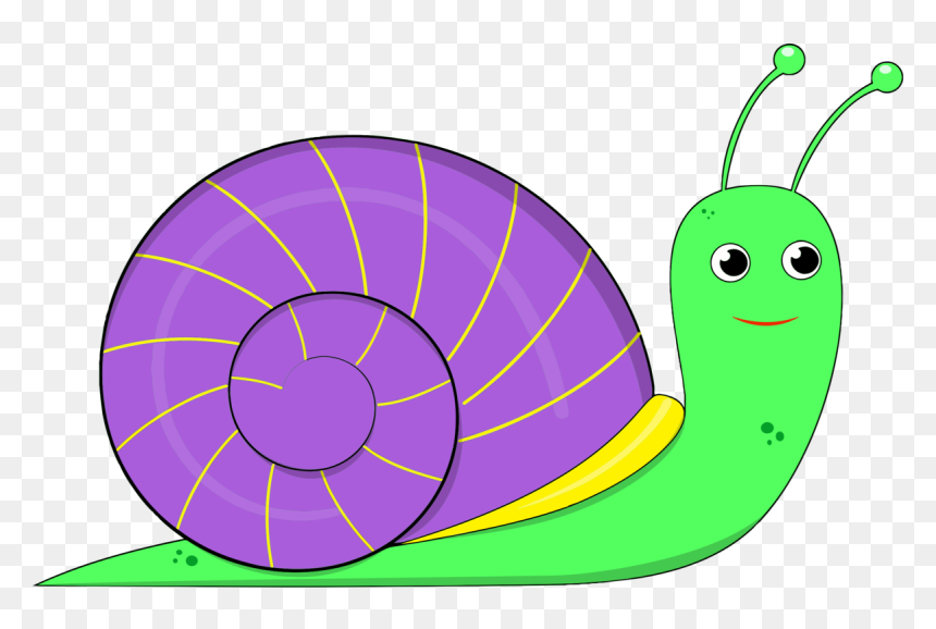 Leaf,snail,area - Clip Art On Snail, HD Png Download - shell clipart png