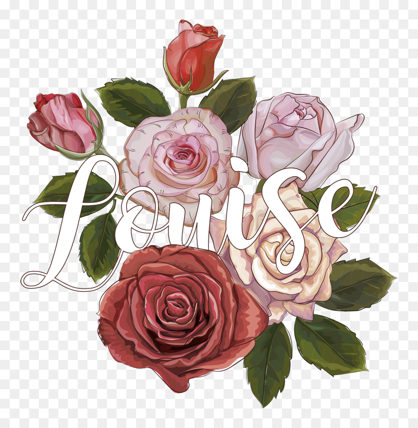 T Shirt Personalizada Vintage Ramo De Flores - Garden Roses, HD Png Download - ramo de flores png