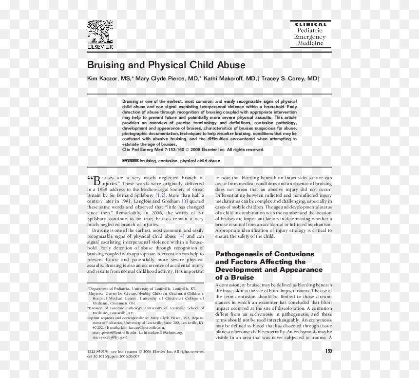 Document, HD Png Download - bruises png