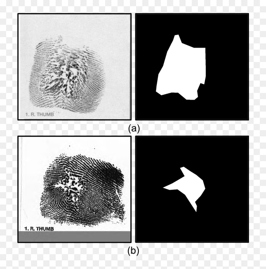 Examples Of Altered Fingerprints And Corresponding - Animal, HD Png Download - fingerprints png