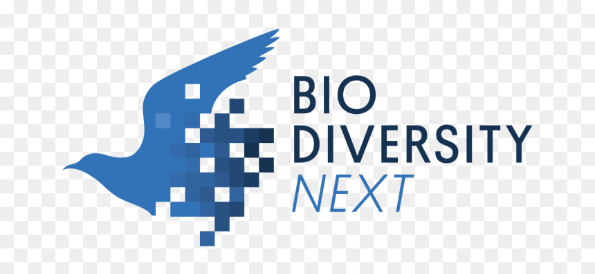 Bird, HD Png Download - presenter png