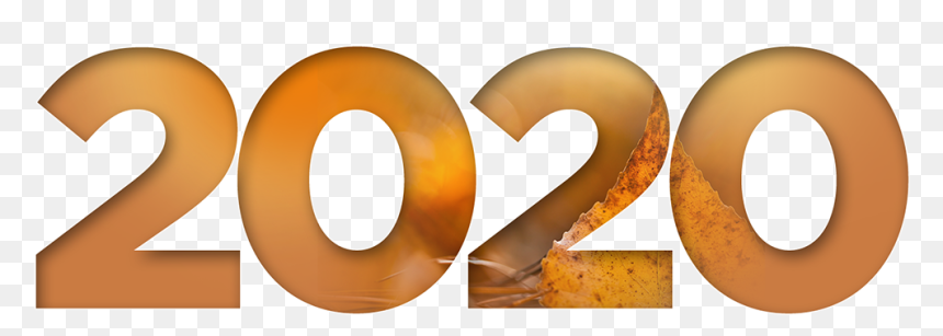 2020 Orange Png, Transparent Png - paint swatch png