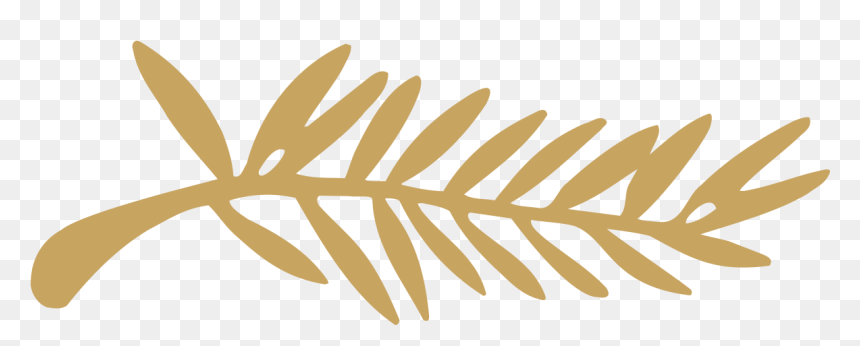 Cannes Film Festival, HD Png Download - cinta de cine png