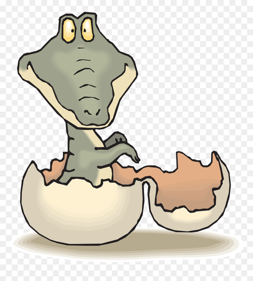 Alligator In Egg Cartoon, HD Png Download - shell clipart png