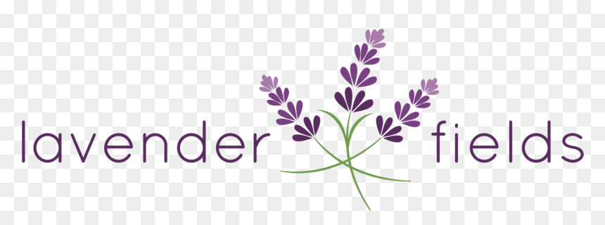 Lavender Flower Png - Lavender Flower Graphic Design, Transparent Png - lavender flower png