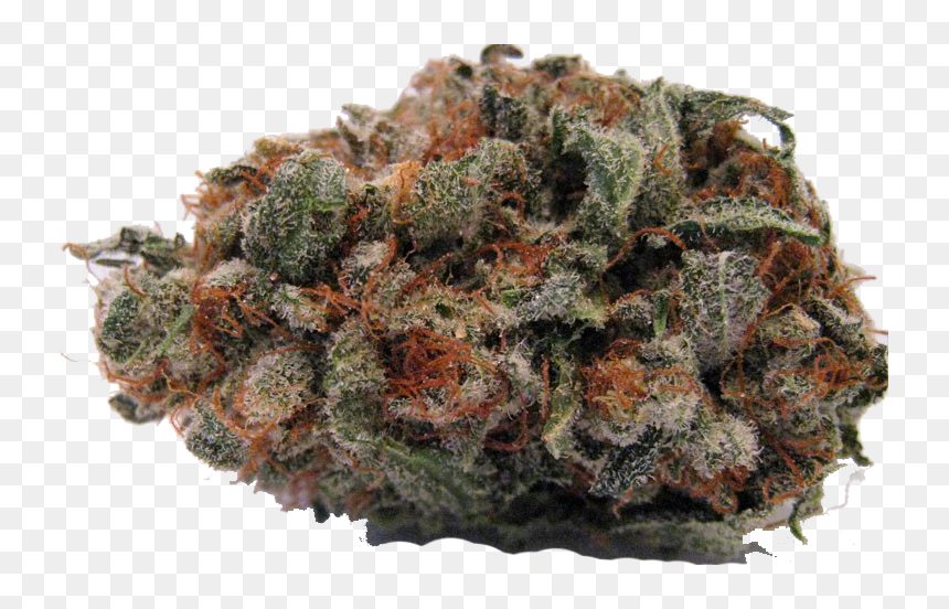 Fruity Pebble Nug - Fruity Pebbles Kush, HD Png Download - fruity pebbles png