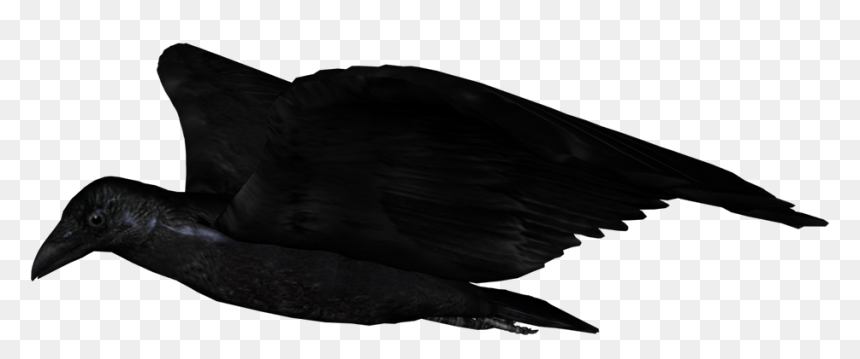 Raven Flying Up - Fish Products, HD Png Download - raven flying png