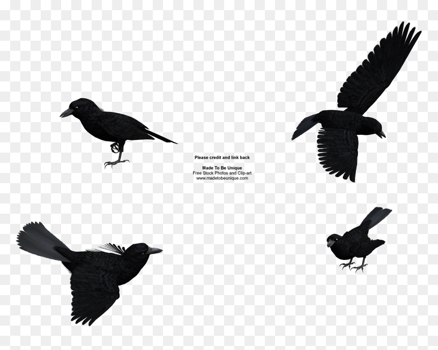 Raven Clipart Public Domain - Clip Art, HD Png Download - raven flying png