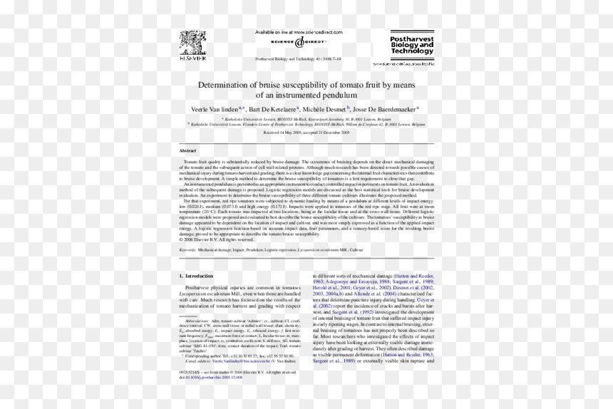 Document, HD Png Download - bruises png