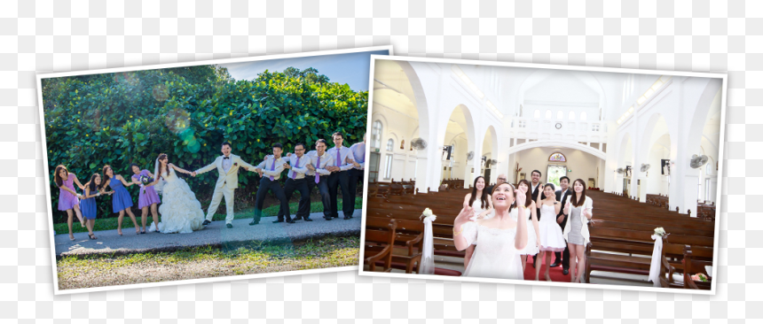 Transparent Wedding Arch Png - Photograph, Png Download - wedding arch png