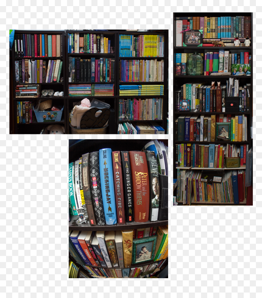 Also, I Have Multiple Bookshelves That Line The Corner - Bookcase, HD Png Download - bookshelves png