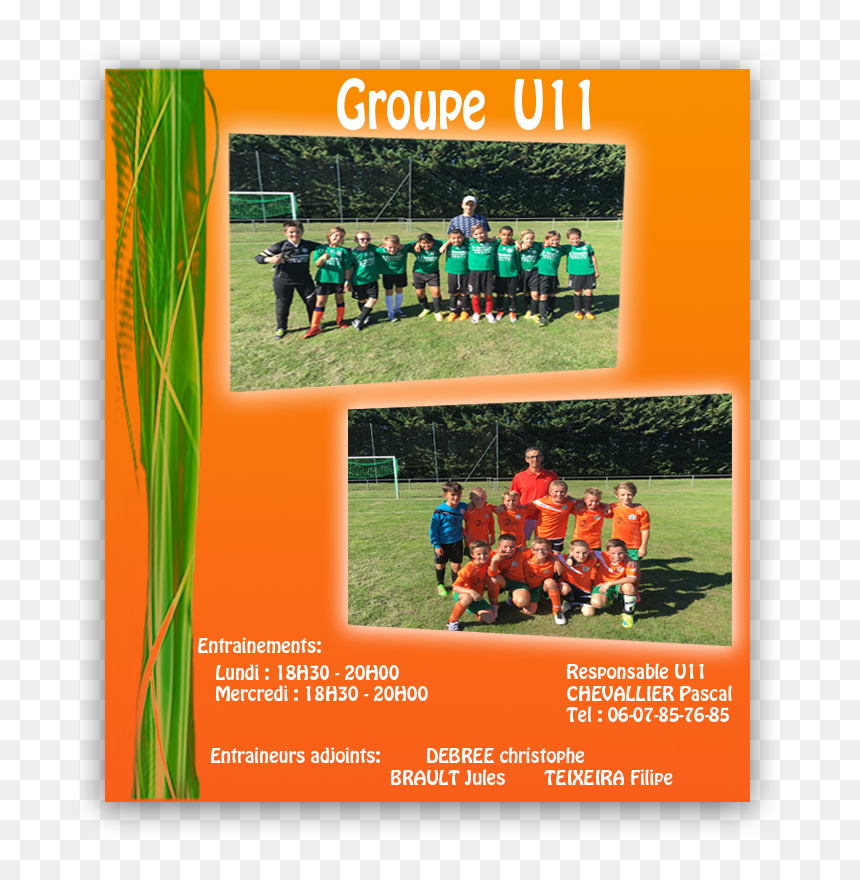 Artificial Turf, HD Png Download - debree png