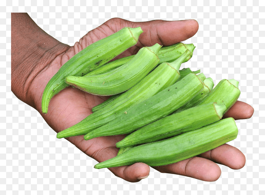 Free Png Hand With Okra Png Images Transparent - Okra Png, Png Download - okra png