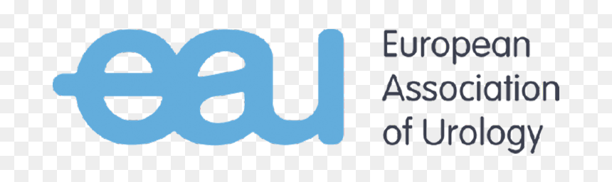 European Urology Guidelines, HD Png Download - shockwave effect png