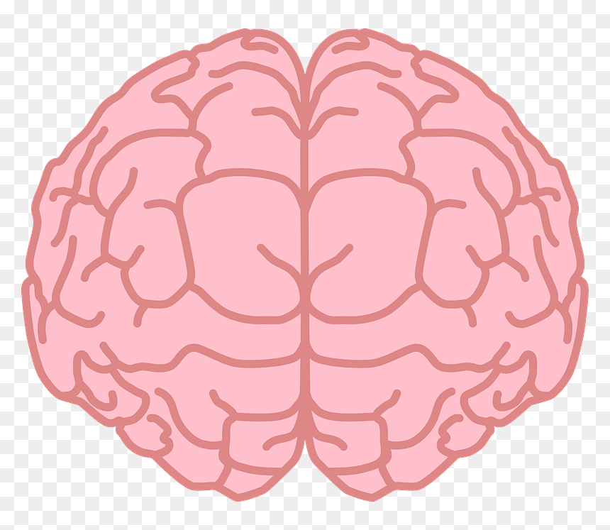 Brain Svg 02 Clipart - Strawberry, HD Png Download - brain .png