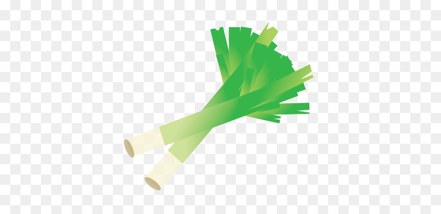 Tree, HD Png Download - leek png