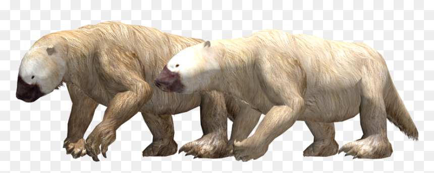 Hog Nosed Skunk, HD Png Download - sid the sloth png