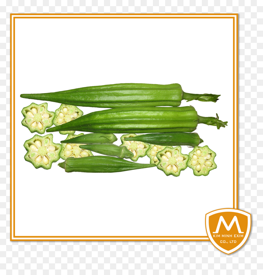 Okra - Verduras Exoticas, HD Png Download - okra png