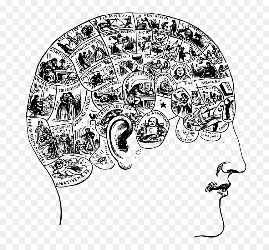 Narrative Brain, HD Png Download - brain .png