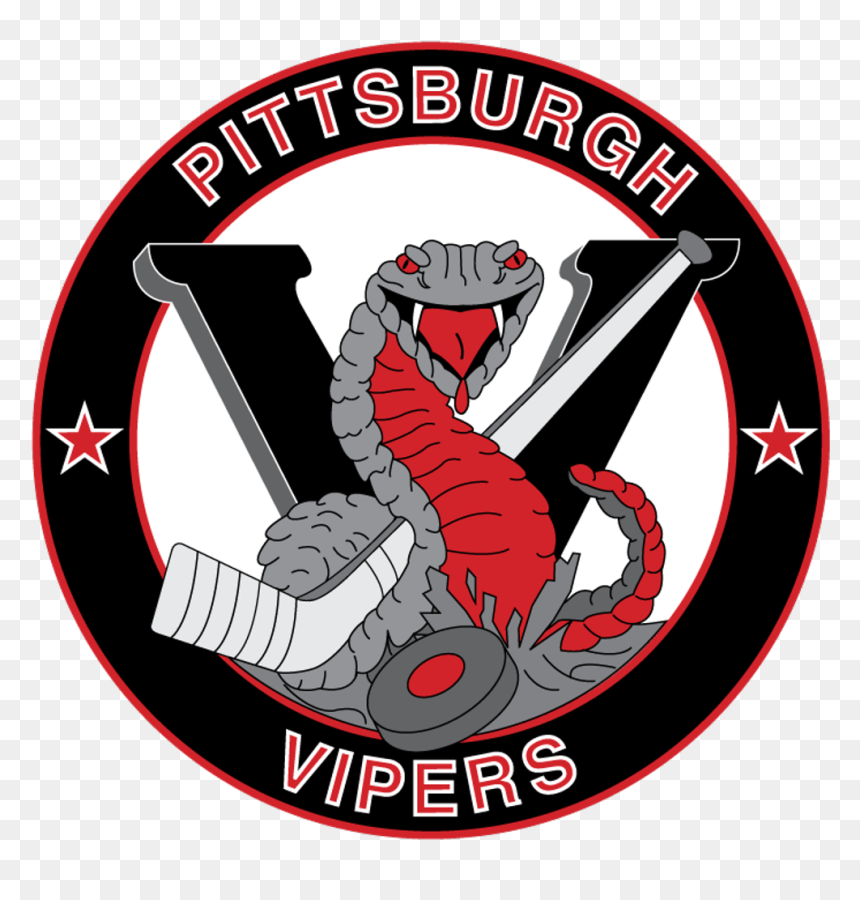 National Council On Disability, HD Png Download - viper logo png