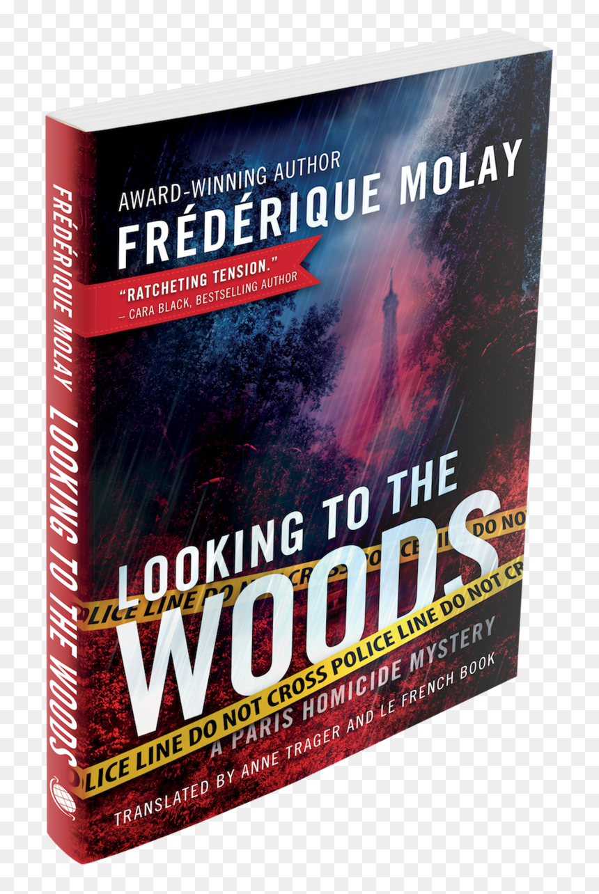 Lookingtothewoods-3d Copy, HD Png Download - police line do not cross png