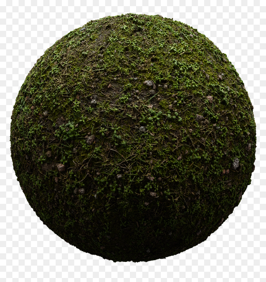 Circle, HD Png Download - bush texture png