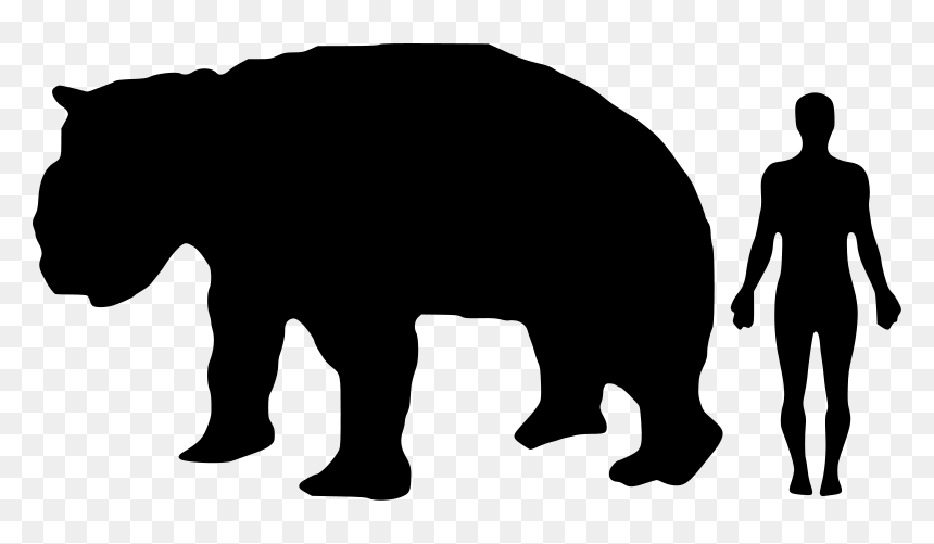 A Diprotodon Size Compared To Modern Human - Giant Panda Compared To Human, HD Png Download - sid the sloth png