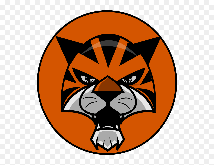 Tiger, HD Png Download - cartoon football png
