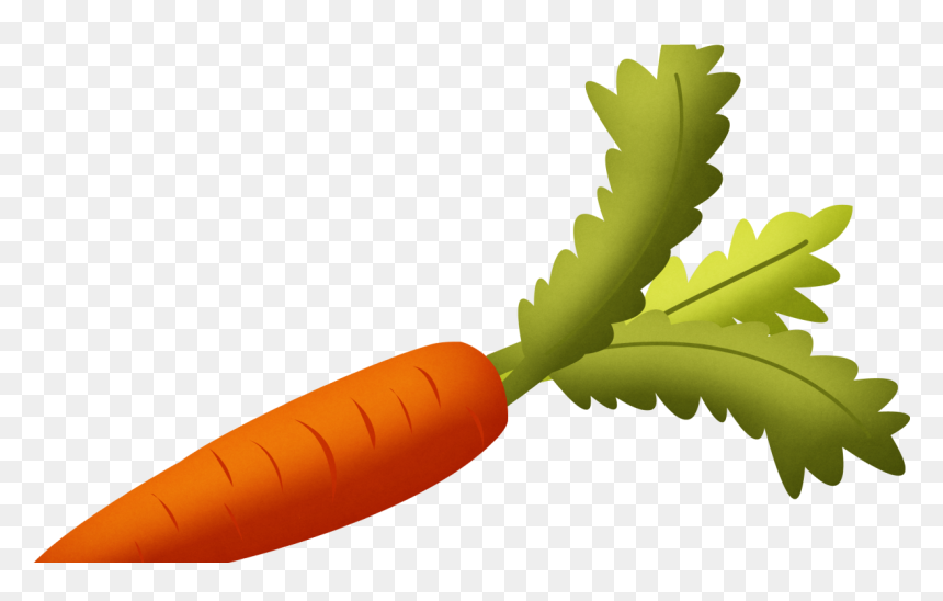 Transparent Vegetables Transparent Png - Carrot Clipart Png, Png Download - vegetables transparent png