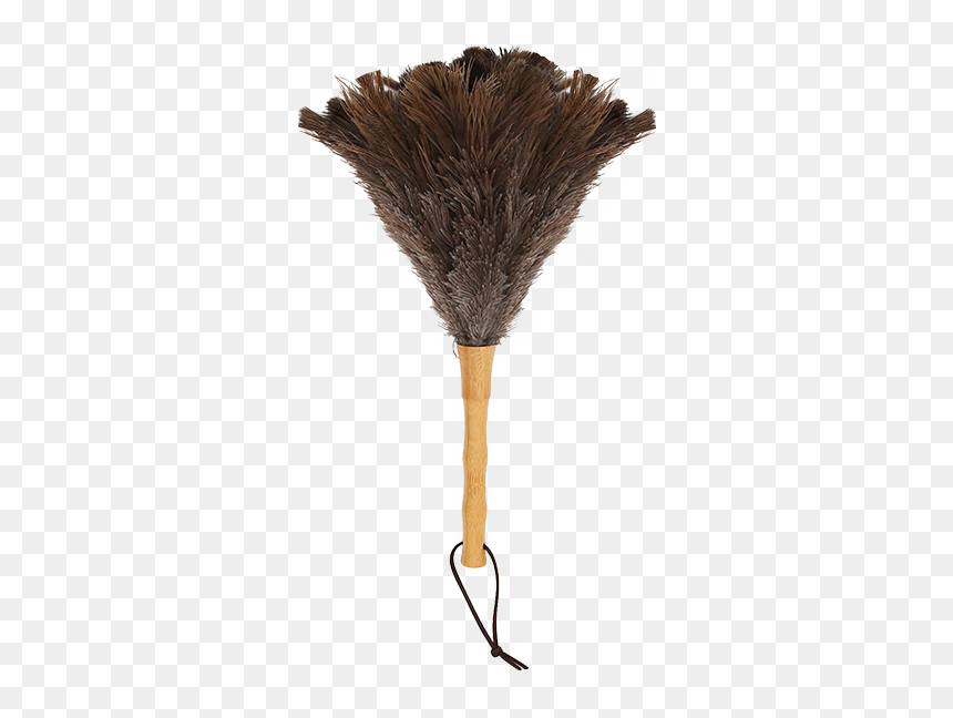 Sketch, HD Png Download - feather duster png
