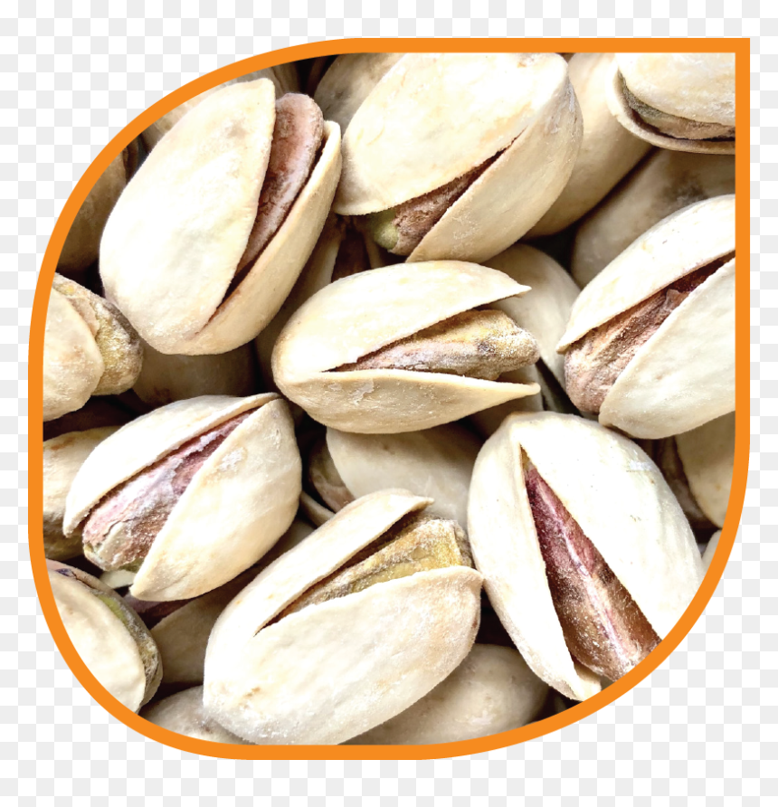 Organic Toasted And Salted - Pistachio, HD Png Download - pistachio png