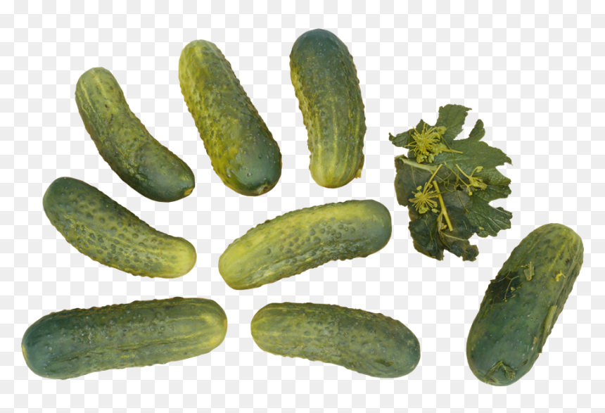 Pepino Png, Transparent Png - pepino png