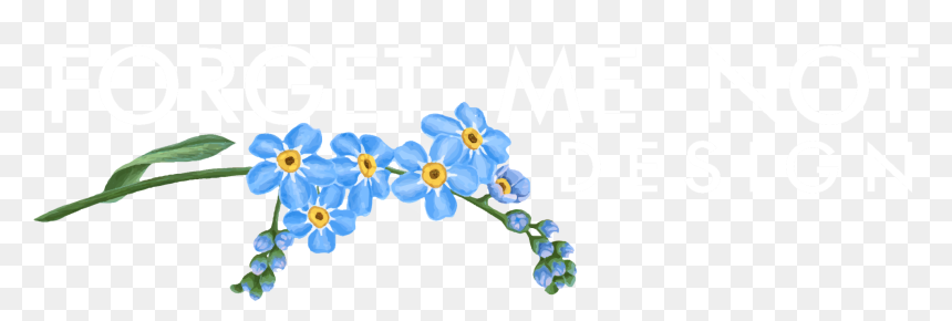 Picture - Forget-me-not, HD Png Download - forget me not png