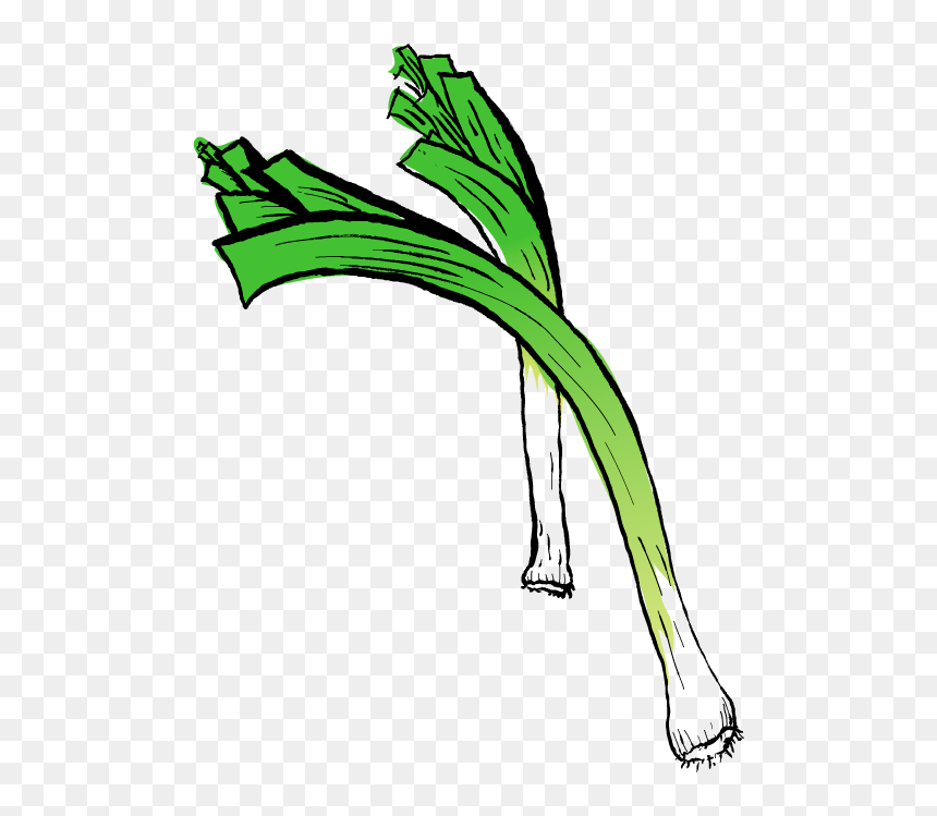 Autumn Clipart , Png Download - Leek, Transparent Png - leek png