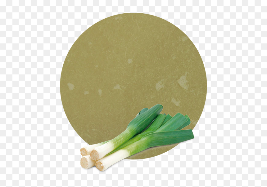 Welsh Onion, HD Png Download - leek png