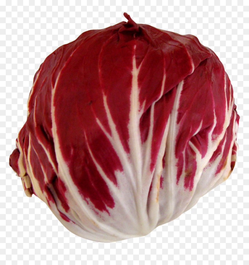 Radicchio Png Image - Radicchio Png, Transparent Png - vegetables transparent png