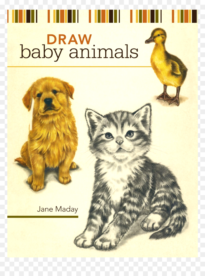 Draw Baby Animals Book, HD Png Download - baby animals png