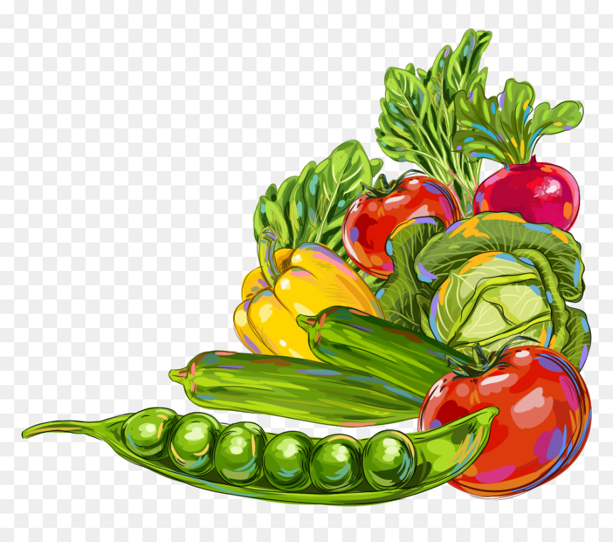 Vegetable Okra Fruit Illustration - Fruits And Vegetables Illustration, HD Png Download - okra png