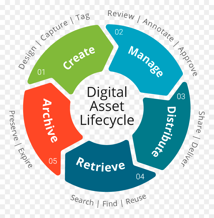 Digital Asset Management Lifecycle, HD Png Download - dam png