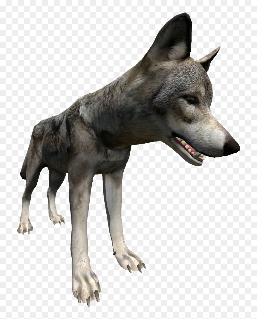 Wolf Close Up Right, HD Png Download - wolf transparent png