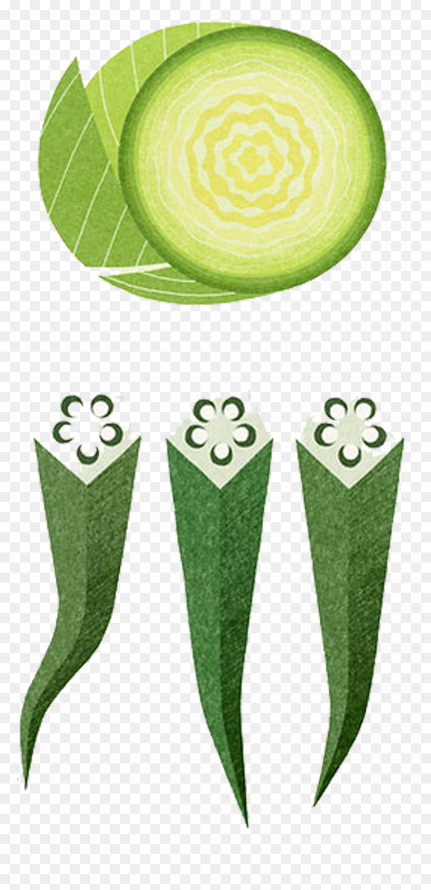 Transparent Leeks Clipart - Leaf And Vegetable Printing, HD Png Download - okra png