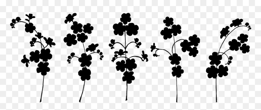 Hydrangea, HD Png Download - forget me not png