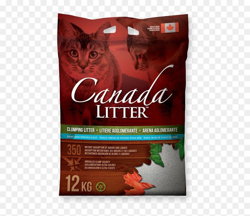 Kitten, HD Png Download - litter png