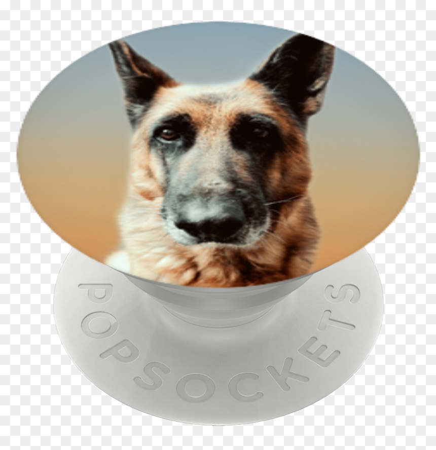Transparent Shepherd Png - Old German Shepherd Dog, Png Download - shepherd png