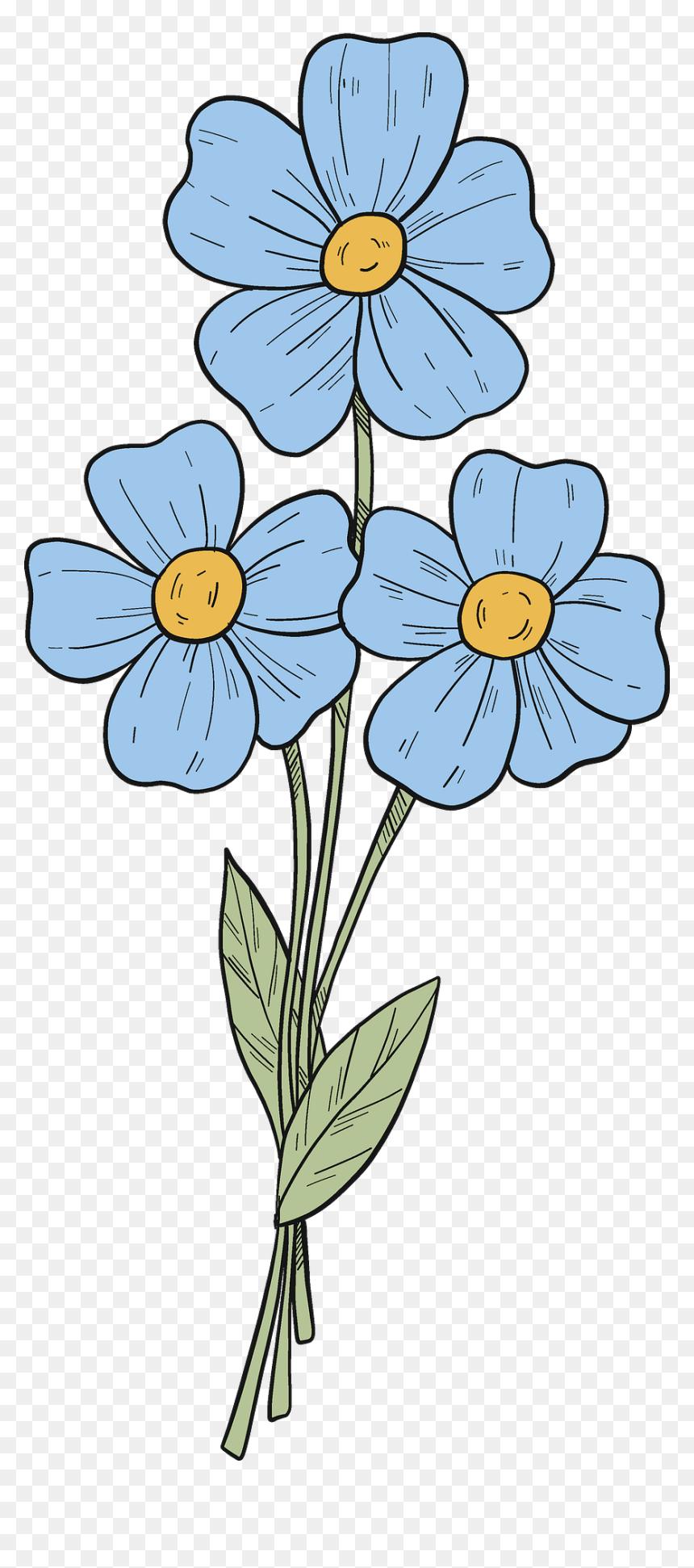 Clip Art, HD Png Download - forget me not png
