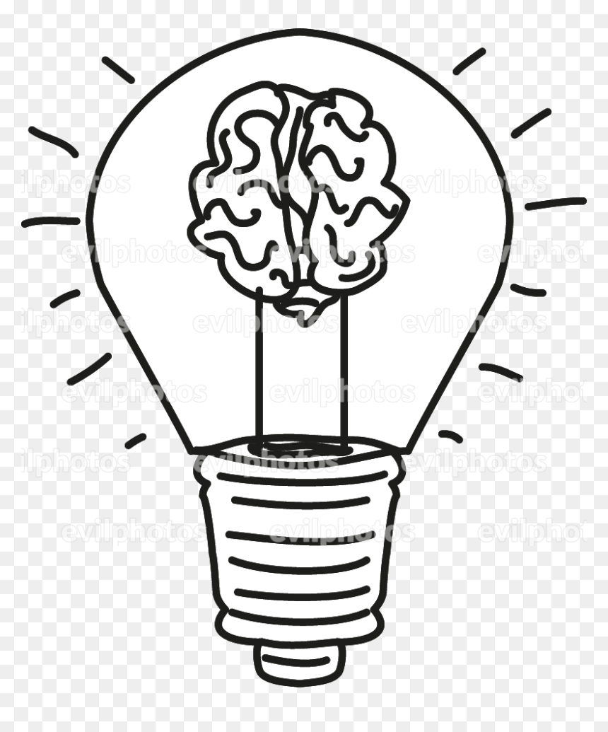 Brain Drawing Vector And Stock Photo - Brain Drawing, HD Png Download - brain .png