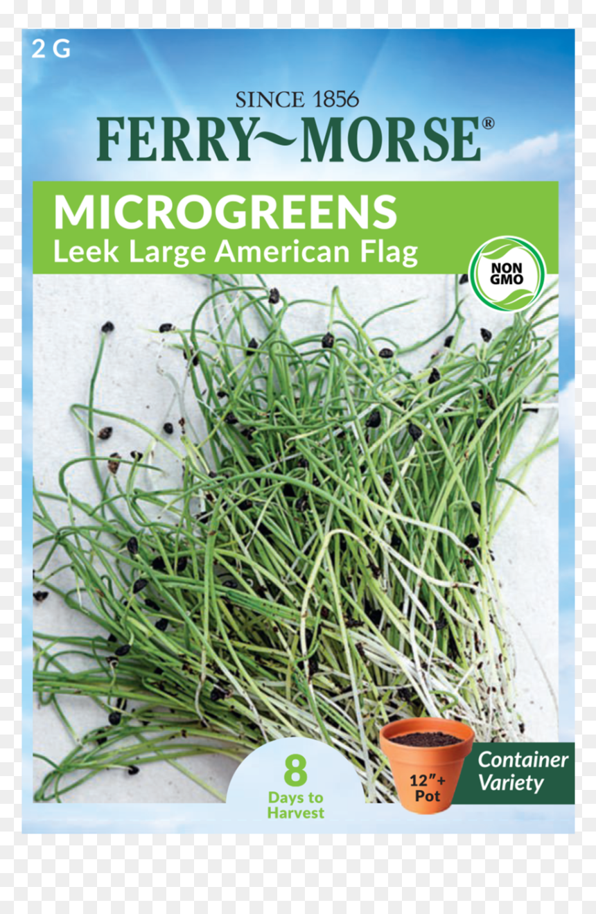 Ferry Morse Microgreen Seed Packet, HD Png Download - leek png