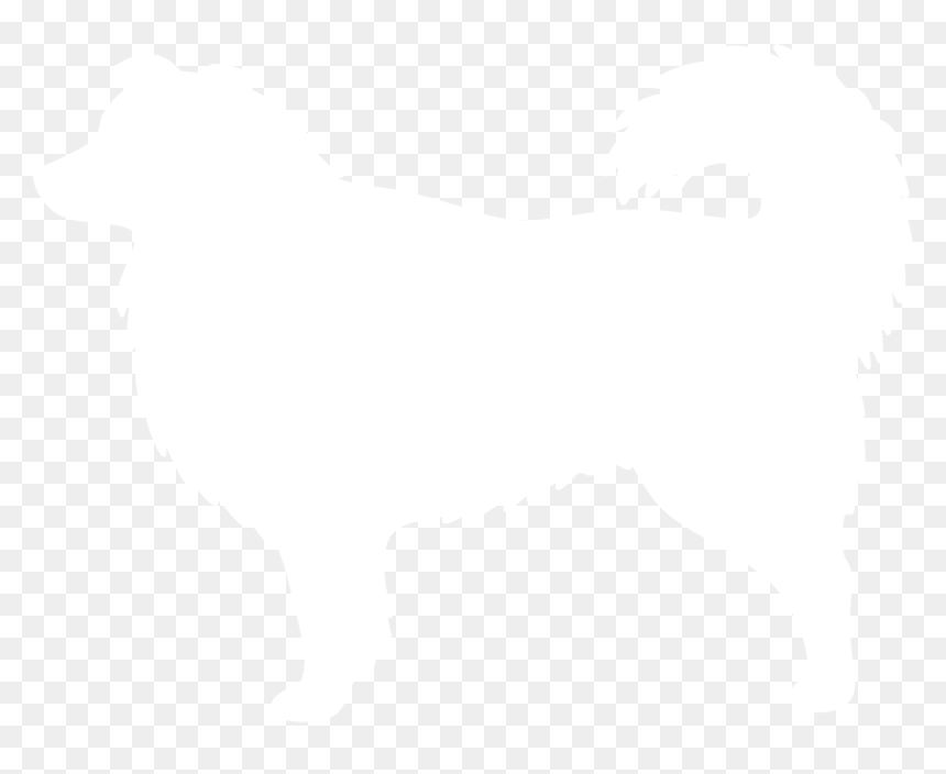 Australian Shepherd Silhouette Clip Art - Outline Australian Shepherd Silhouette, HD Png Download - shepherd png