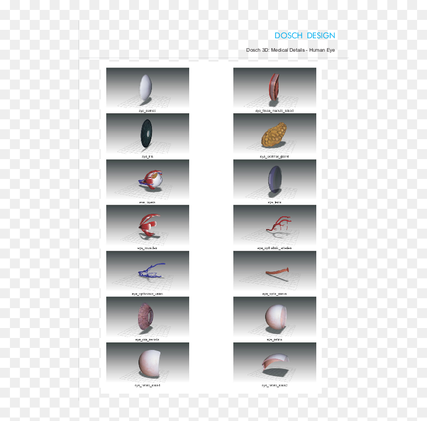 Powerboating, HD Png Download - human eye png